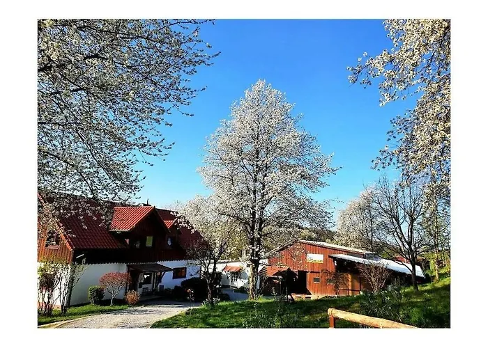 In Windeck With Barbecue Feriehus Windeck